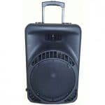 בידורית PRO AUDIO XR12P