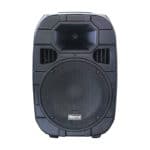 רמקול מוגבר Biema b350 power