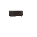 מקרן Ricoh PJWX2440