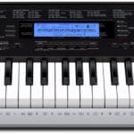 אורגנית Casio CTK 4200