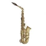 סקסופון אלט Stagg WS-AS215S Gold