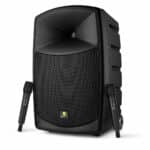 בידורית מקצועית 10" Klark&Helmer Splendor X