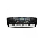 אורגנית Kurzweil KP30