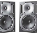 מוניטורים Behringer 2031P